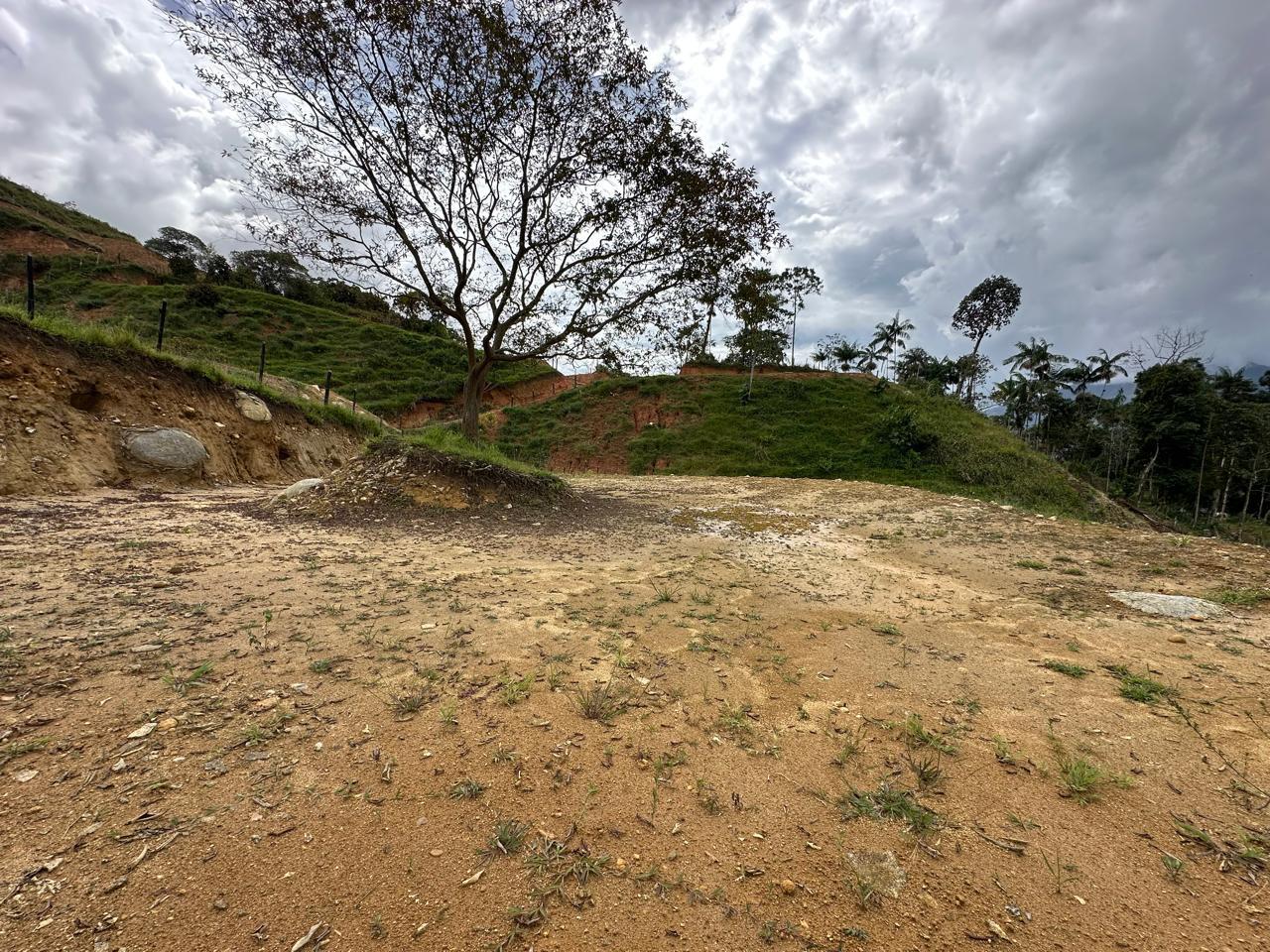 Foto 2 de Lote en Barbosa area 1500 m2 topografía plana tendida