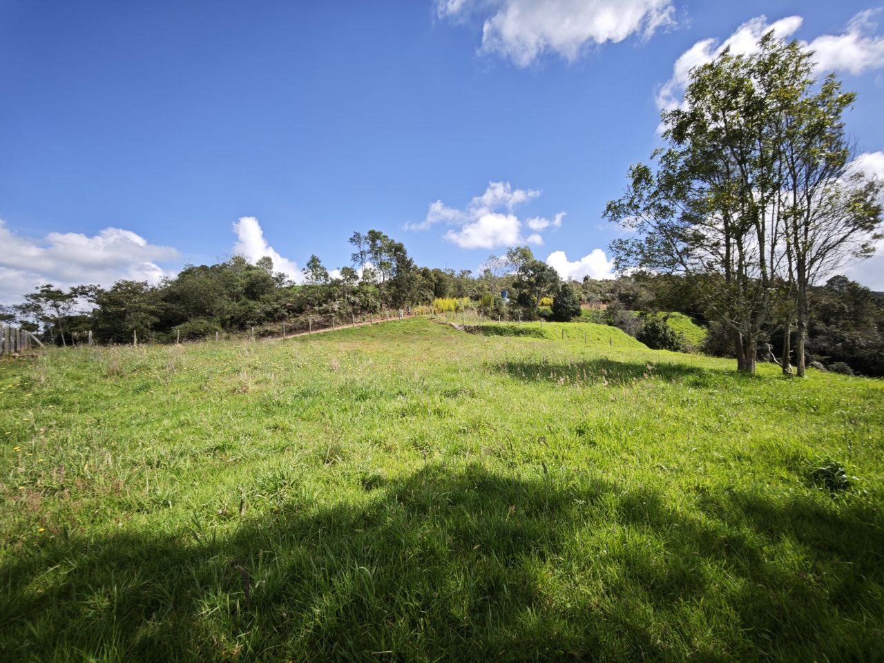 Lotes en san pedro de los milagros