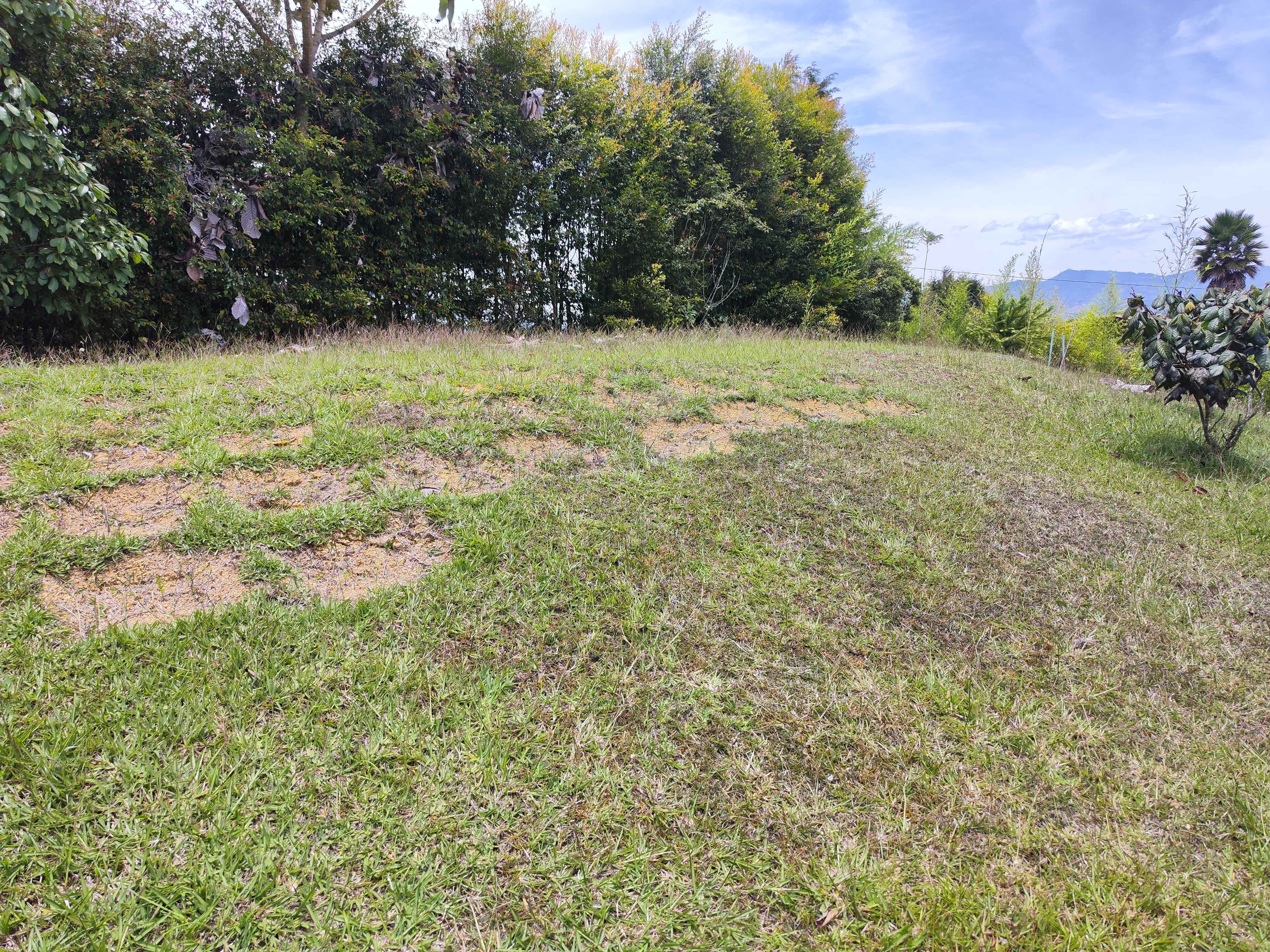 Lote en Guarne Vereda La Clara, Guarne, Antioquia