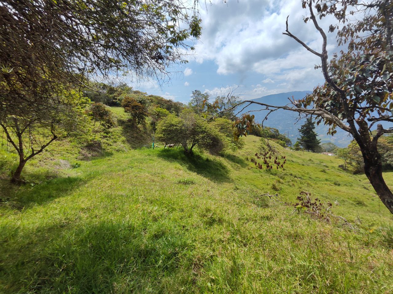 Foto 3 de Lote En Girardota Vereda portachuelo