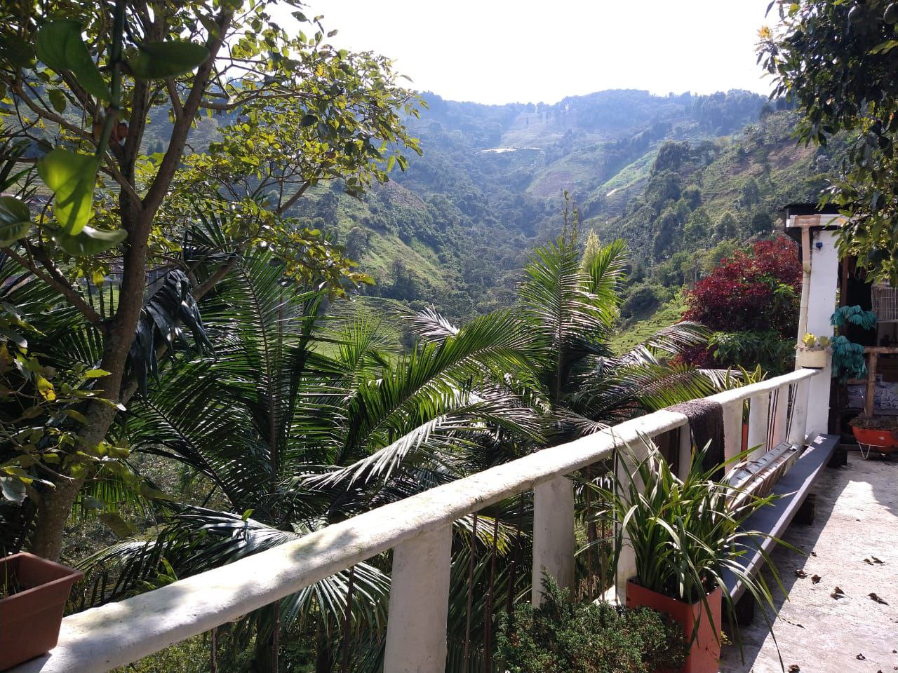 Foto 3 de Finca En la Estrella Vereda La Tablaza