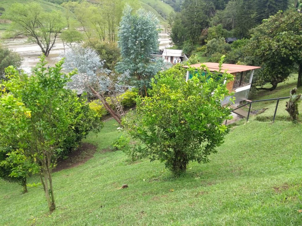 Foto 3 de Finca en el peñol vereda Horizontes