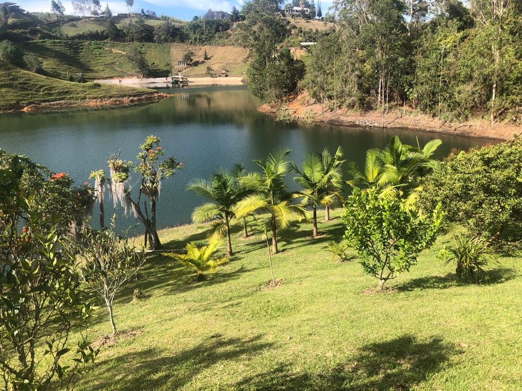 Finca en el peñol vereda bonilla