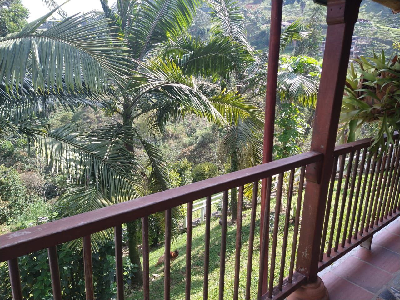 Foto 4 de Finca En la Estrella Vereda La Tablaza