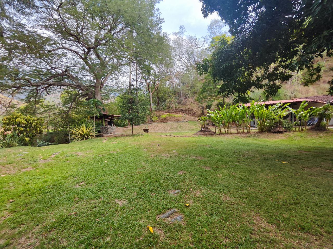 Foto 3 de Finca en sucre olaya cerca al pueblo topografía plana