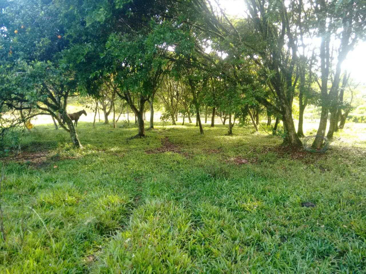 Foto 3 de Lote en venta Porce en unidad cerrada Plano