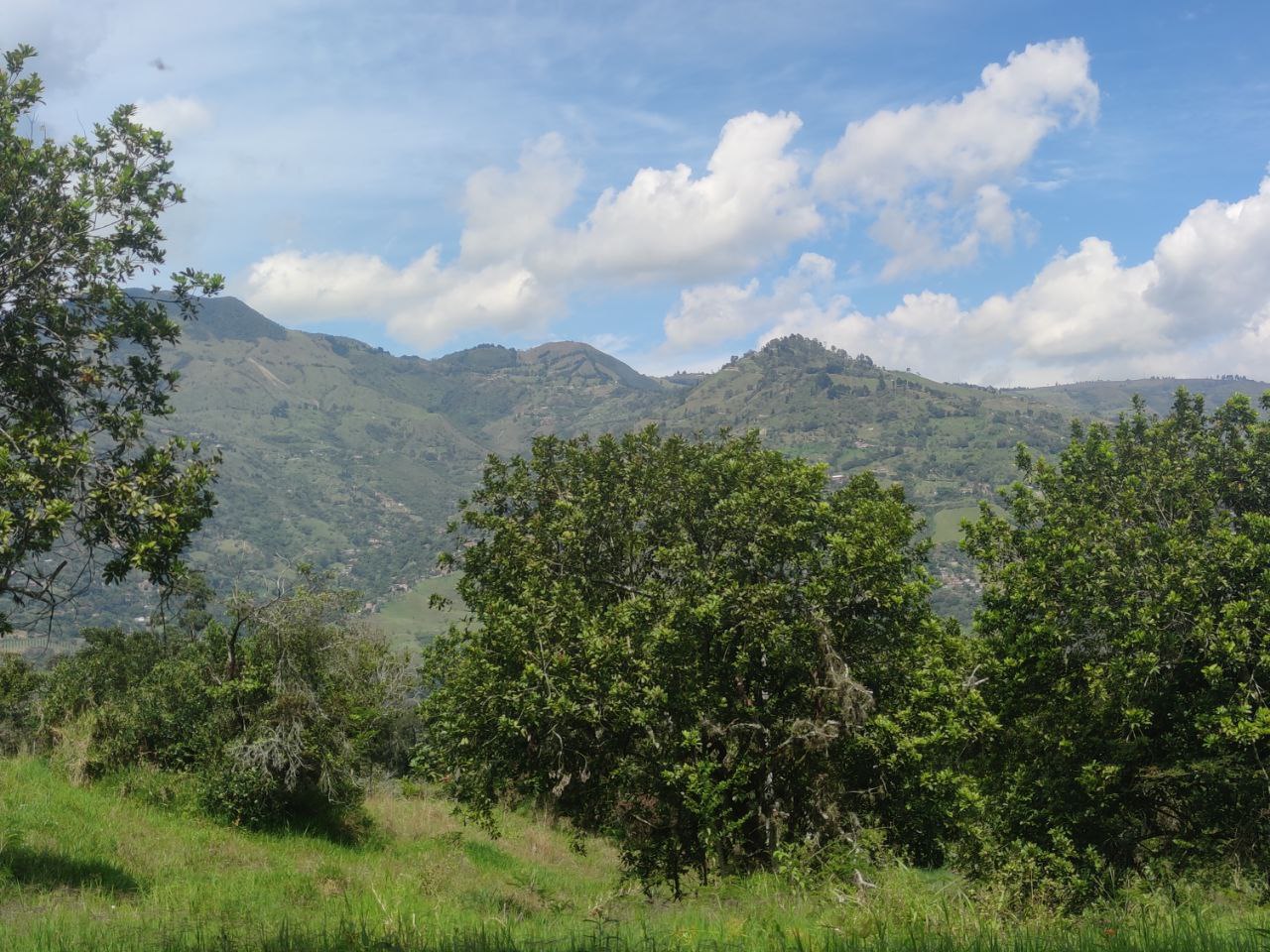 Foto 2 de Lote en Girardota vereda el totumo