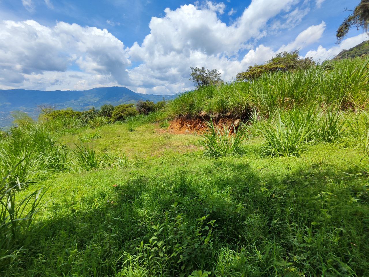 Foto 2 de Lote con caballerizas en Copacabana vereda el zarzal