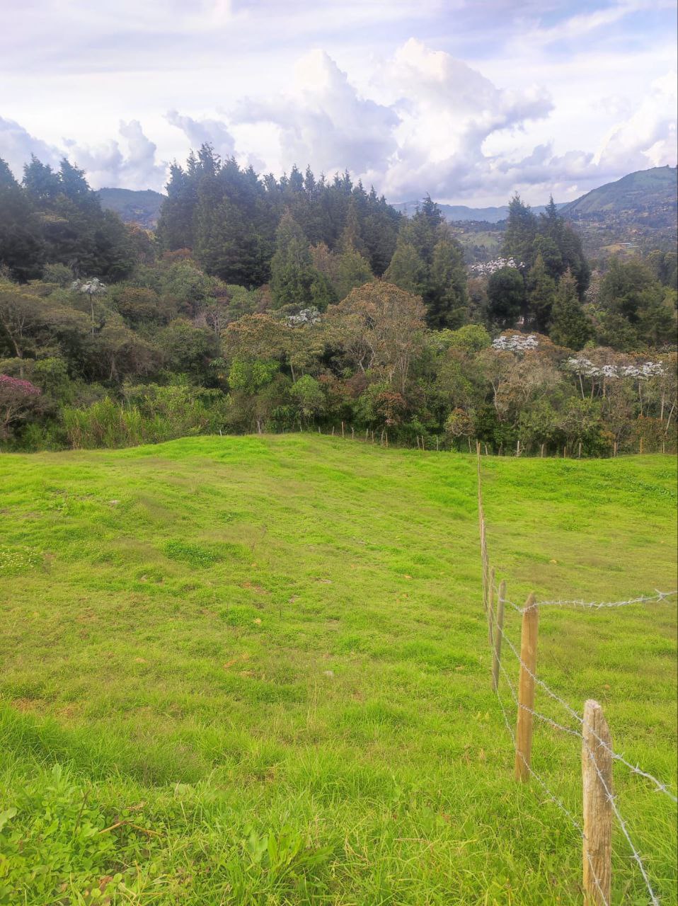 Foto 2 de Lote en Guarne Vereda san Isidro