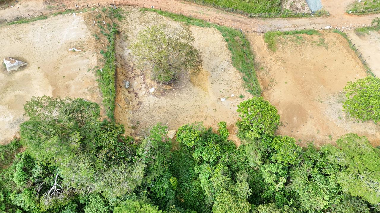 Foto 2 de Lotes en Barbosa área 1000 m2 topografía plana tendida