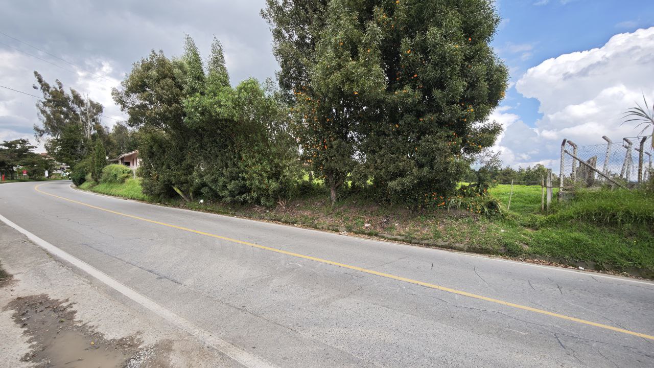 Finca en San Pedro, San Pedro de los Milagros, Antioquia