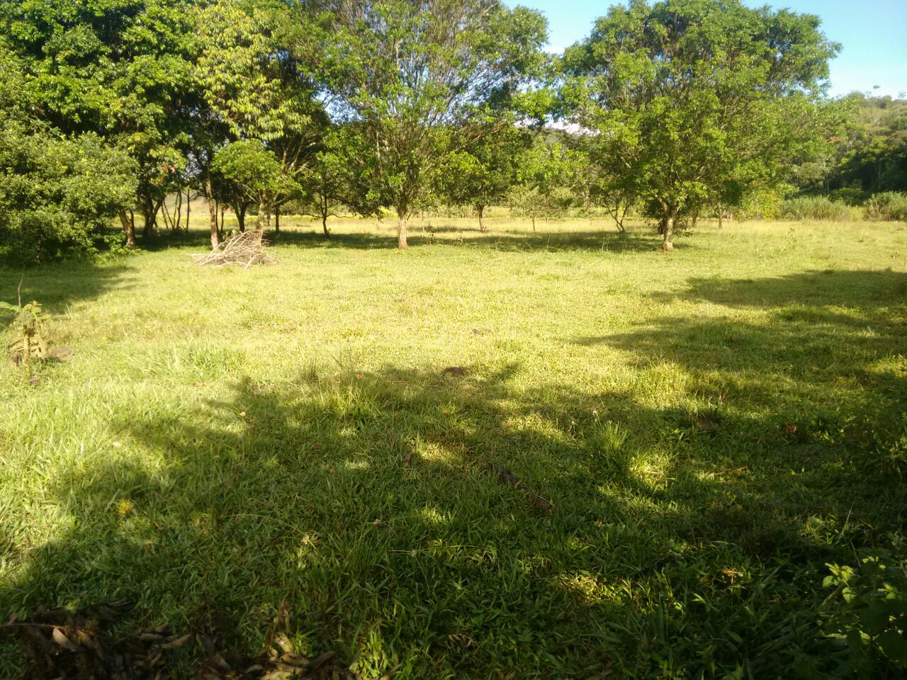 Foto 4 de Lote en venta Porce en unidad cerrada Plano