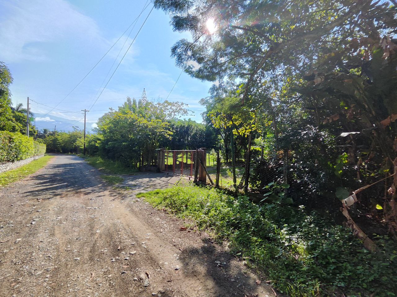 Foto 3 de Lote en santa fe de Antioquia en la Milla de Oro