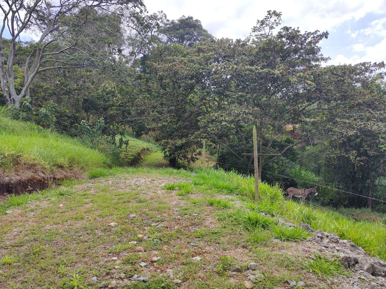 Foto 3 de Lote En Girardota Vereda portachuelo