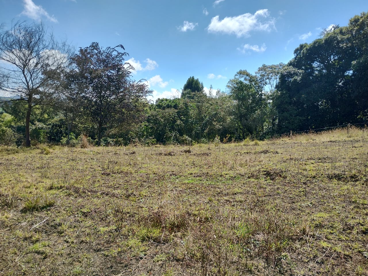 Lote en san pedro de los milagros vereda cerezales