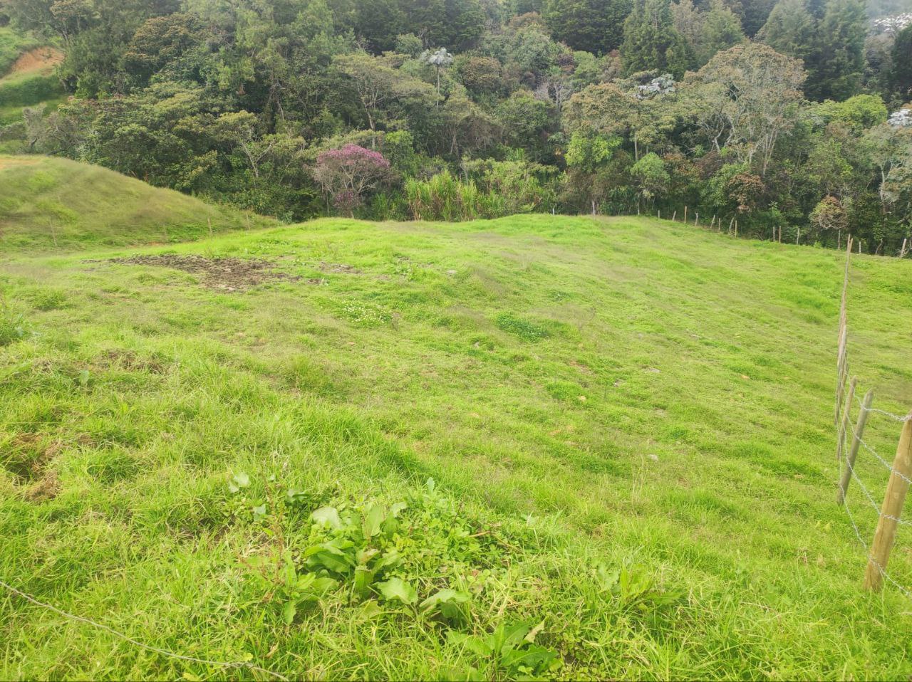 Foto 3 de Lote en Guarne Vereda san Isidro