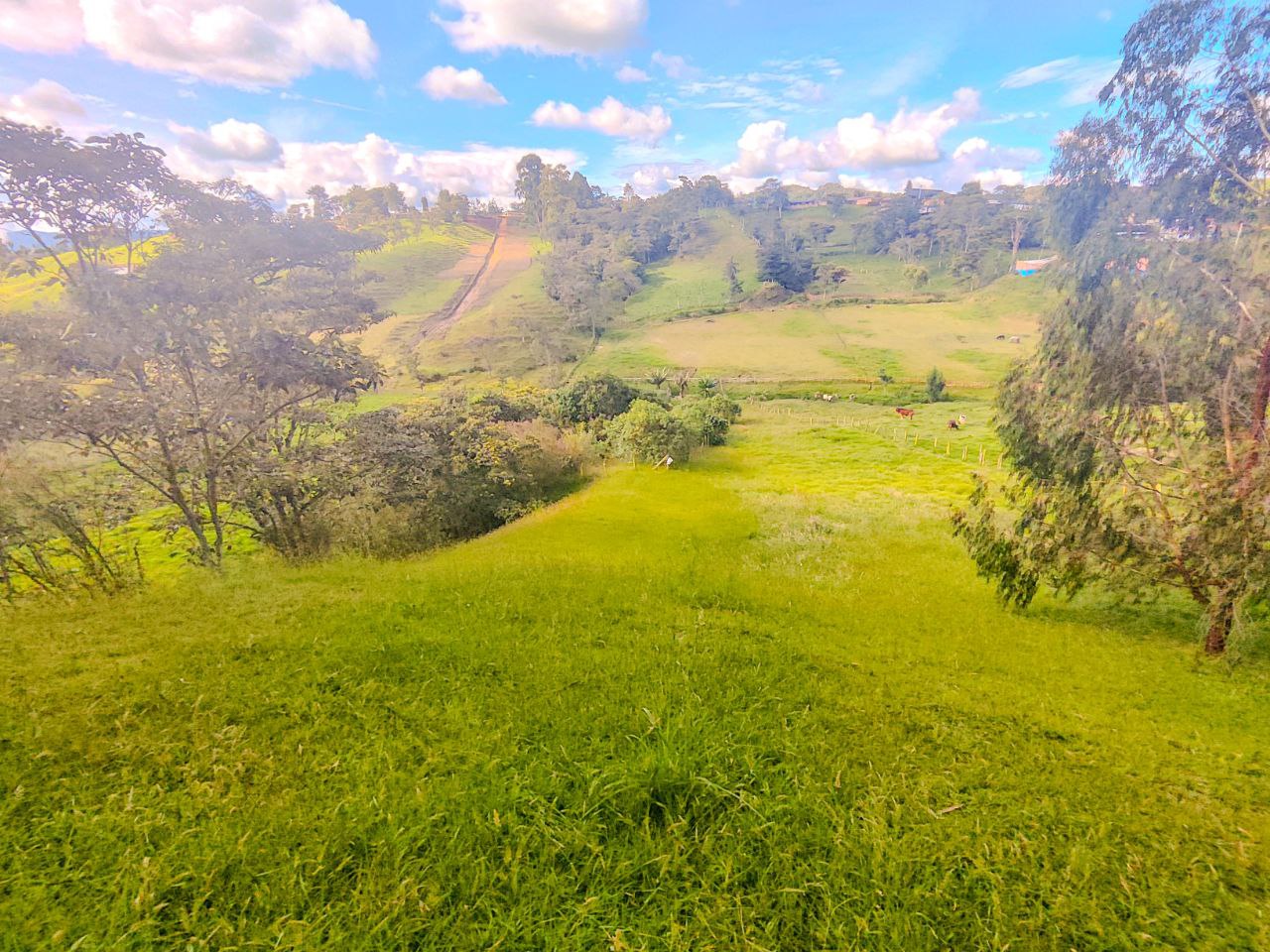 Foto 2 de lote en san pedro con nacimiento de agua