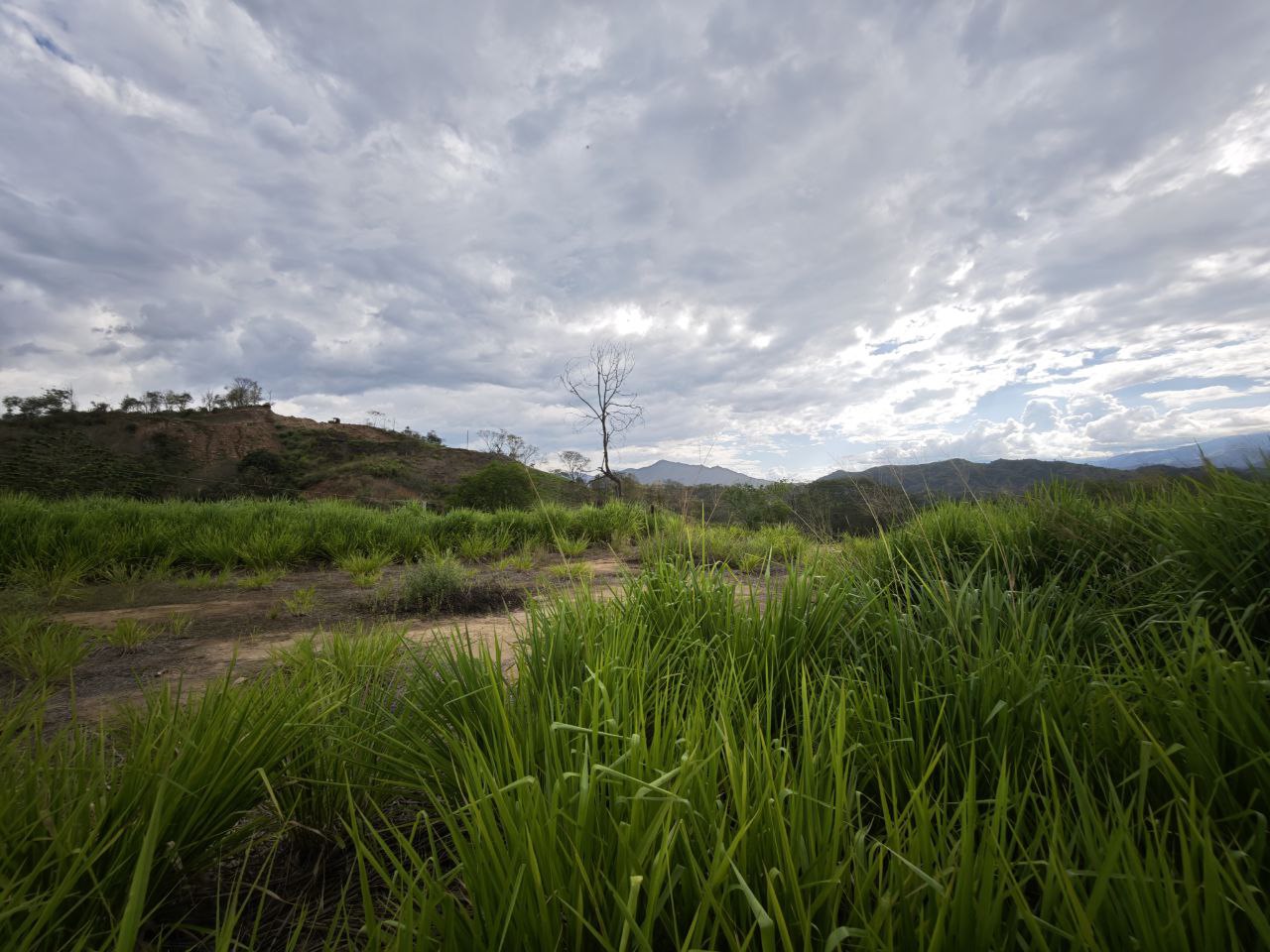 Foto 2 de Lote en Sopetran Vereda el Rodeo Con Lago
