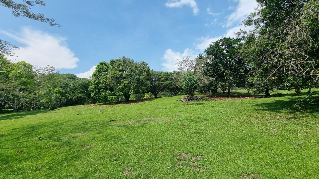 Foto 3 de Espectacular lote en san jerónimo Plano
