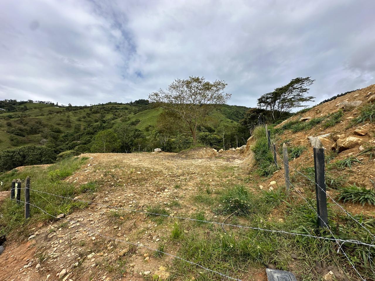Foto 3 de Lotes en Barbosa área 1000 m2 topografía plana tendida
