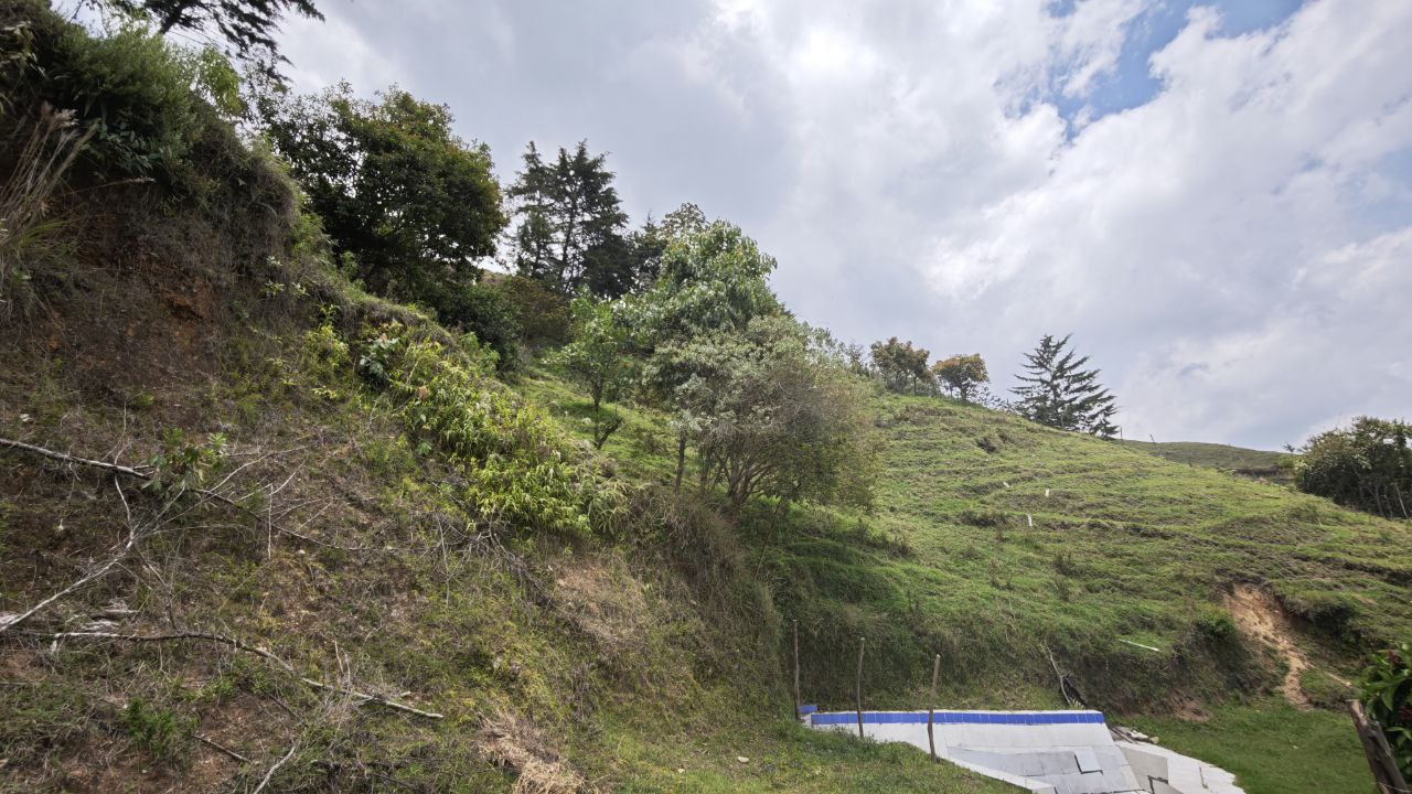 Foto 4 de Finca en Montebello Cafetera Cerca al Pueblo