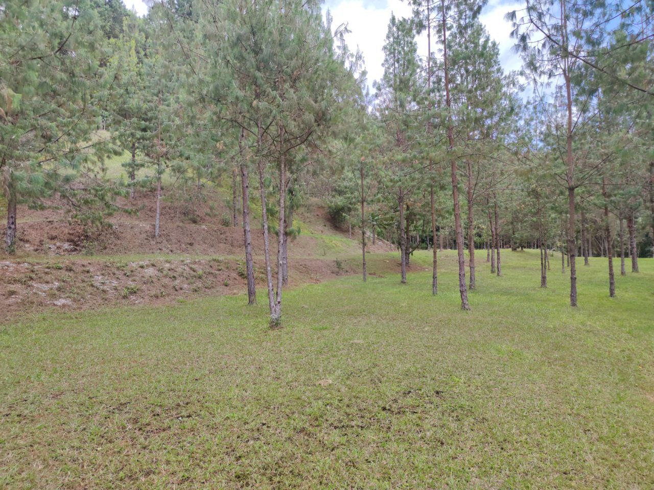 Foto 4 de Lote en Envigado Sector la Catedral