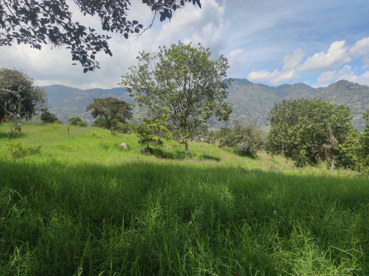 Foto 4 de Lote en Girardota vereda el totumo