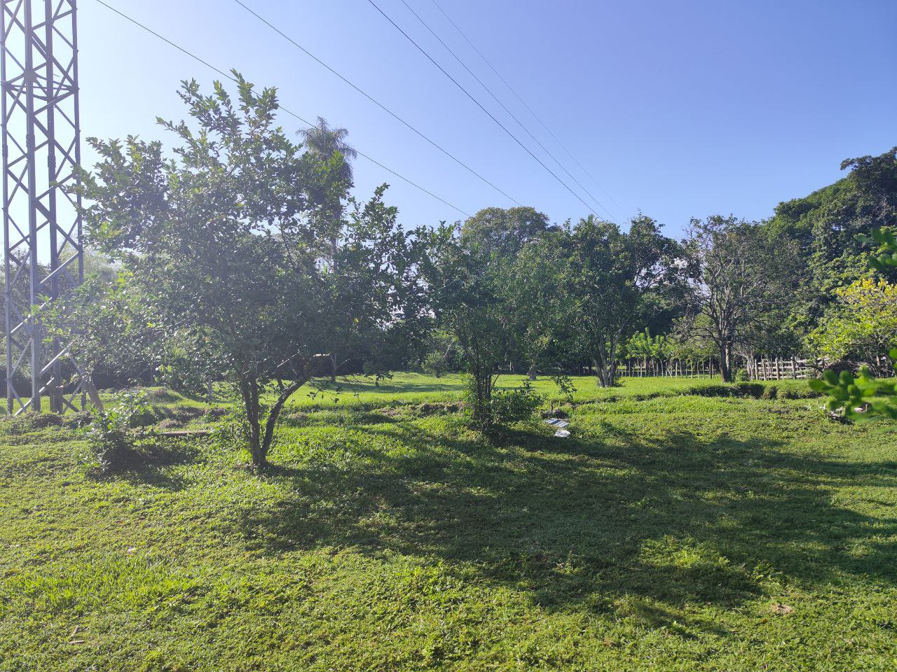 Foto 4 de Lote en santa fe de Antioquia en la Milla de Oro
