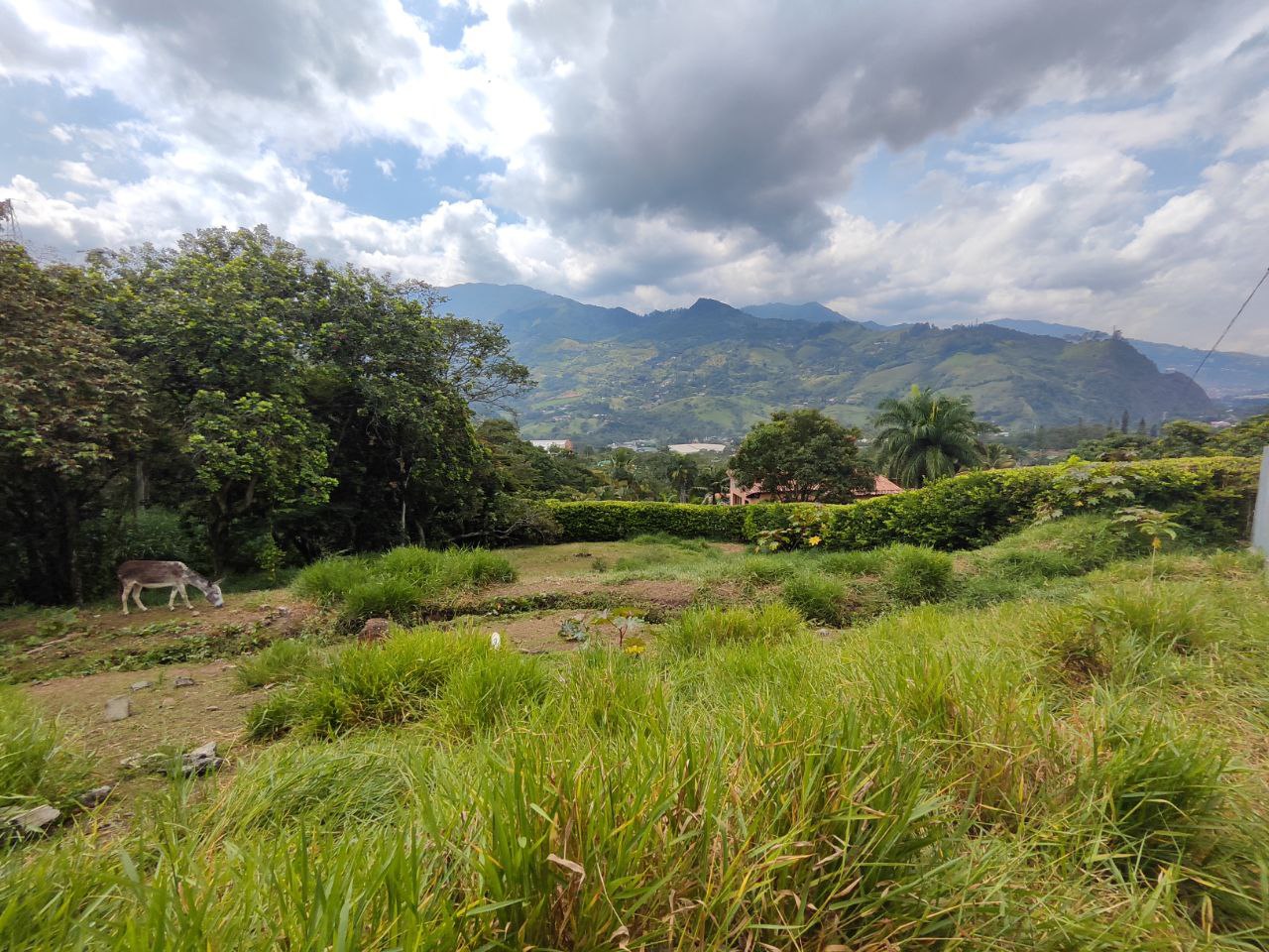 Foto 4 de Lote En Girardota Vereda portachuelo