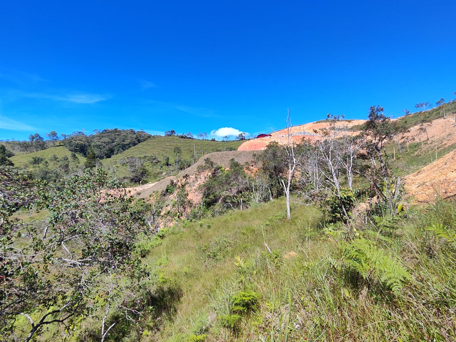 Foto 4 de Lote En Santo Domingo Antioquia
