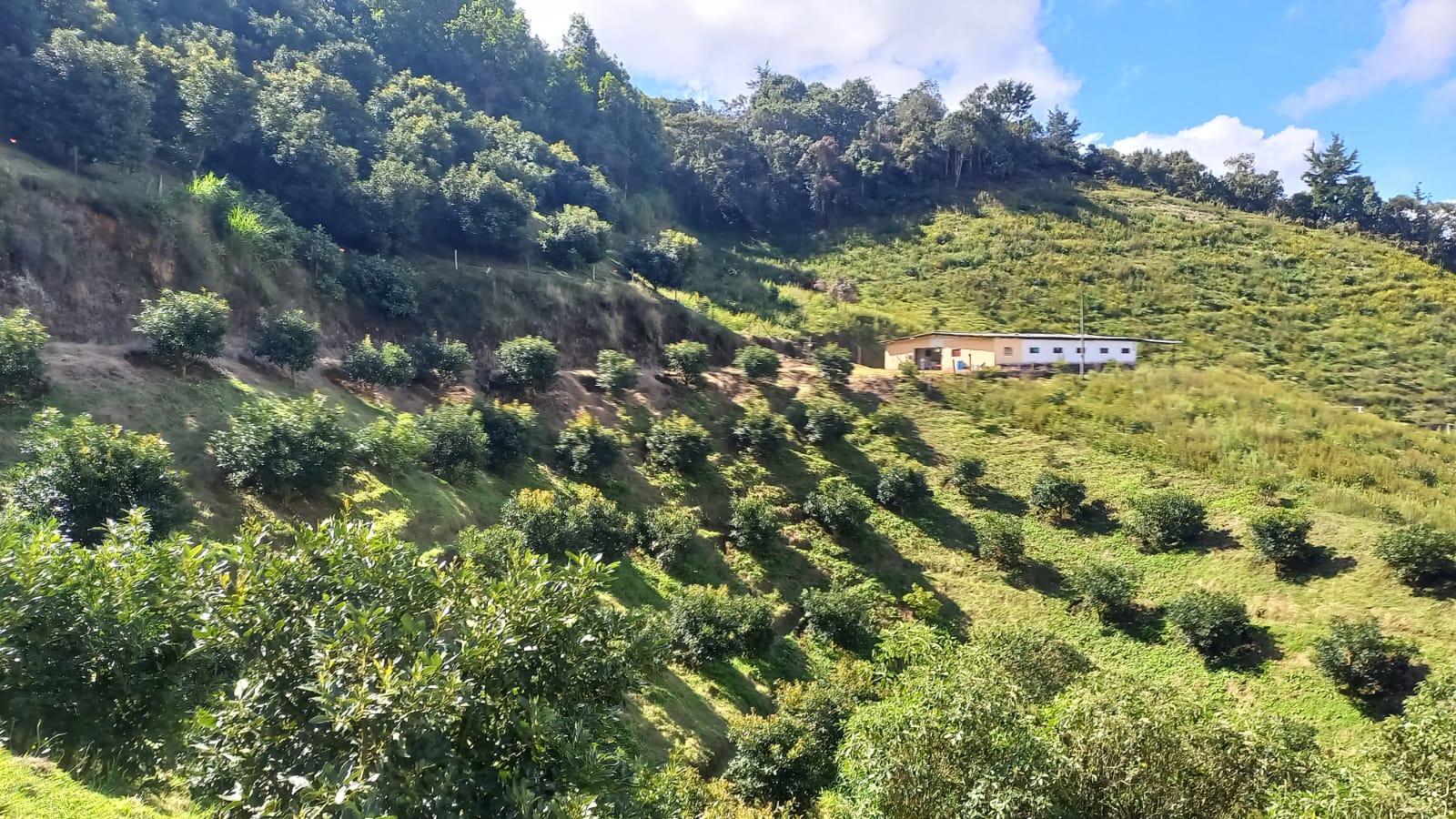 Lote en Sector Don Diego, El Retiro, Antioquia