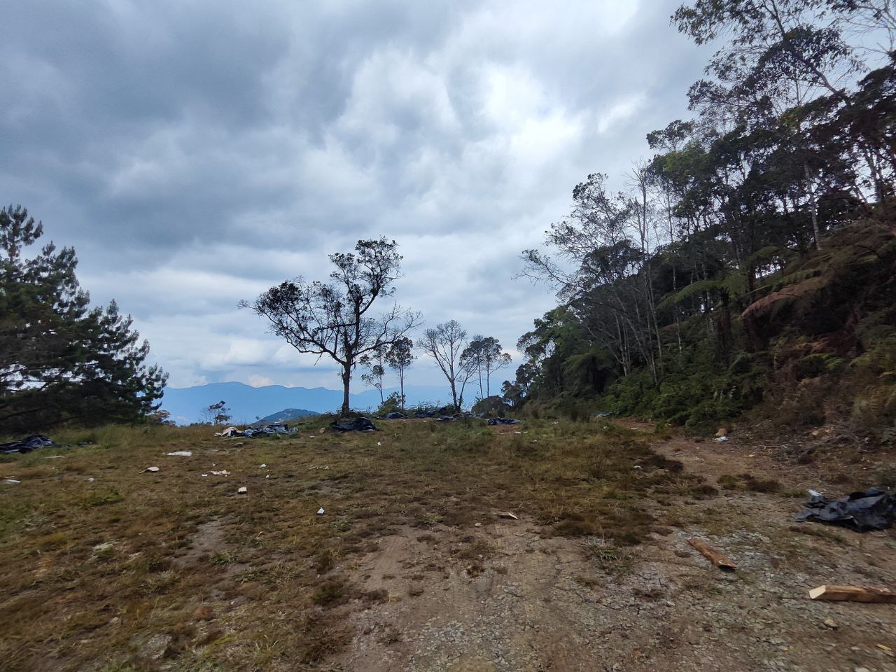Foto 4 de Lote en caldas sector la Miel