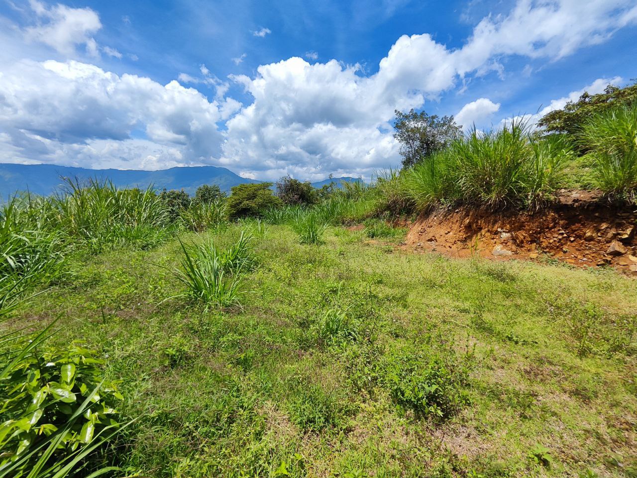 Foto 4 de Lote con caballerizas en Copacabana vereda el zarzal