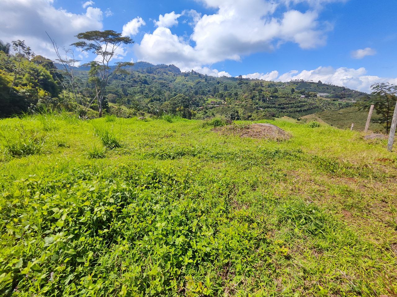 Foto 4 de Lote en Jardín Antioquia