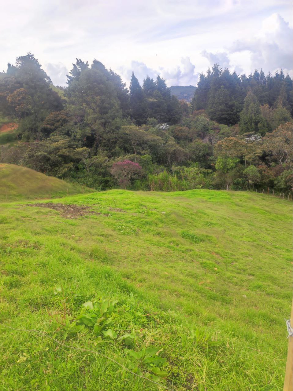 Foto 4 de Lote en Guarne Vereda san Isidro