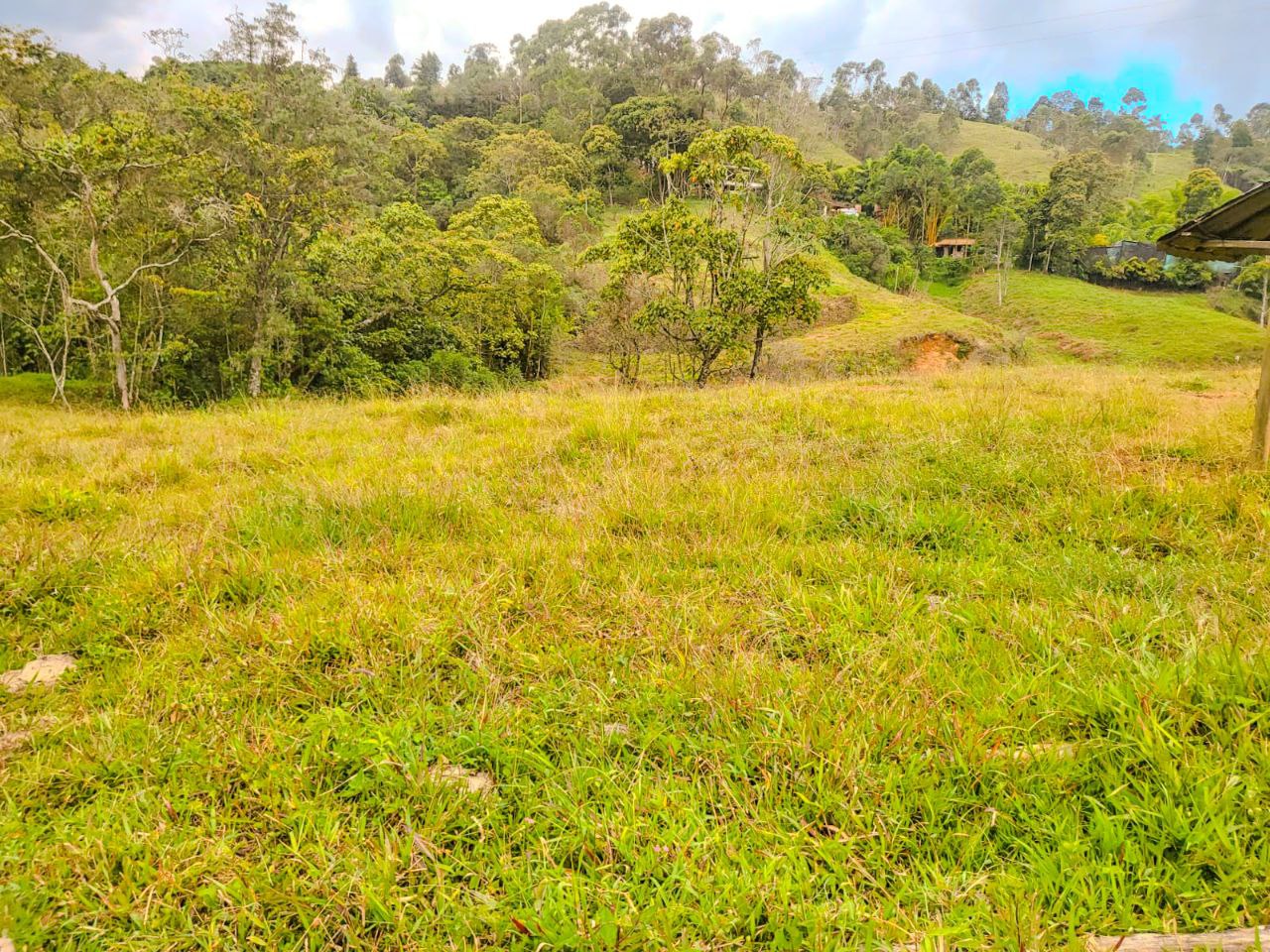 Foto 3 de lote en caldas sector primavera la tolva