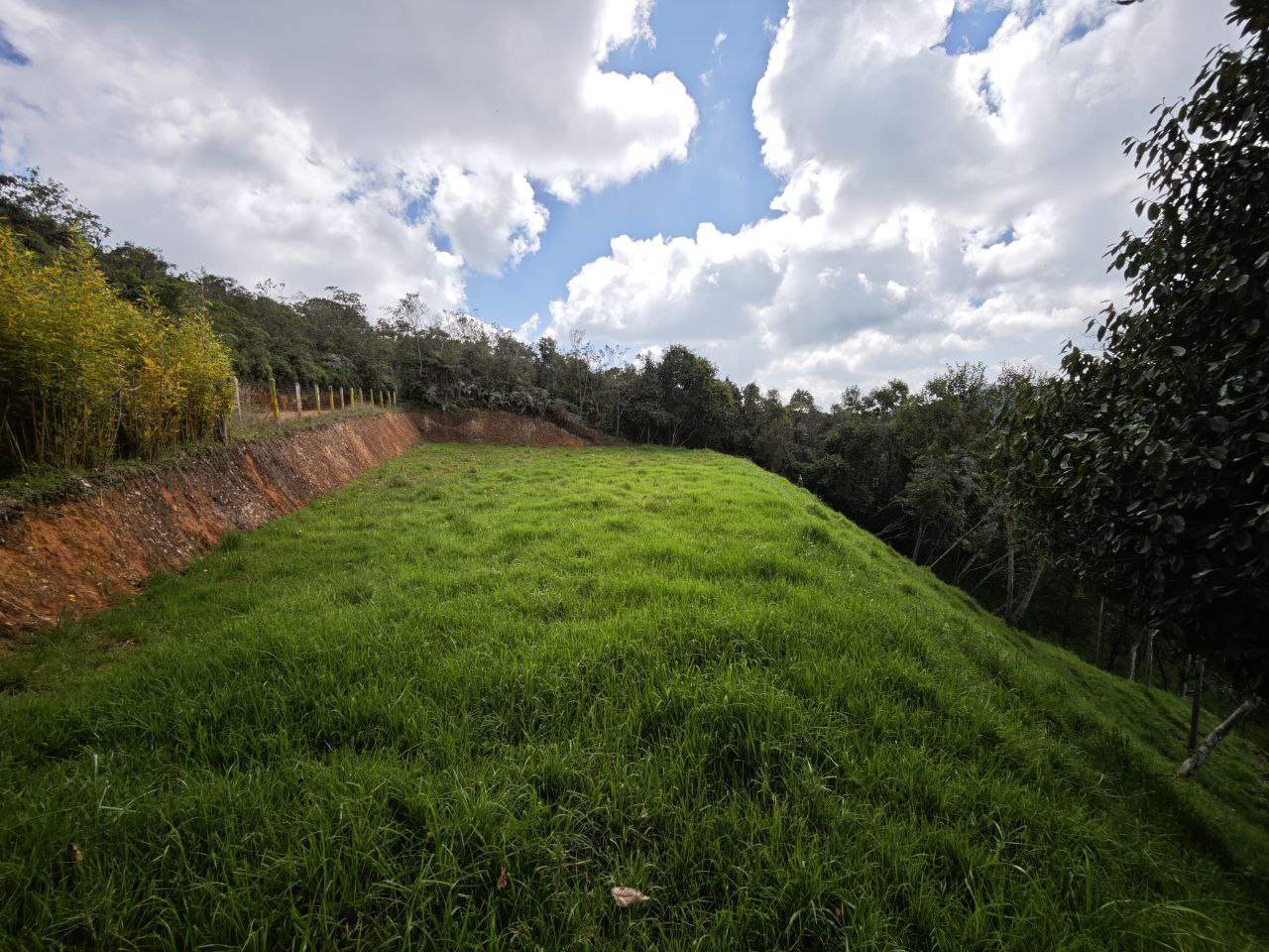 Foto 4 de Lote en San Pedro de los Milagros