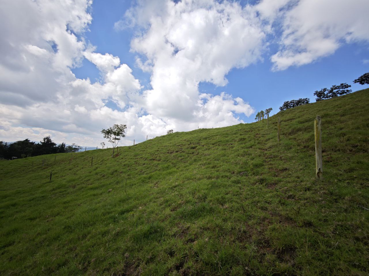 Foto 4 de Lote en san pedro de los milagros Vereda Santa Barbara