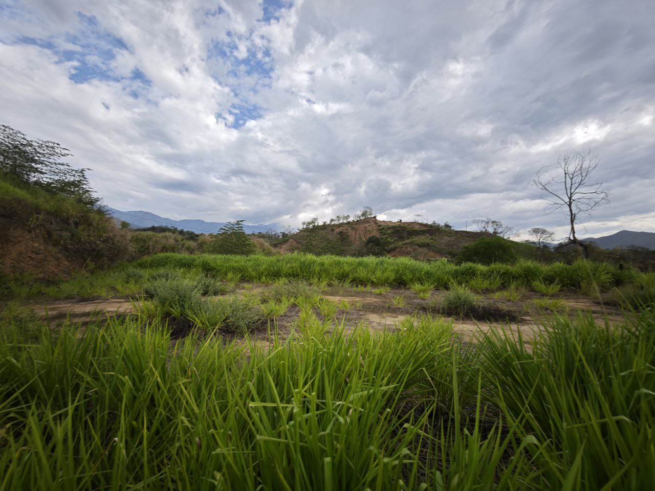 Foto 3 de Lote en Sopetran Vereda el Rodeo Con Lago