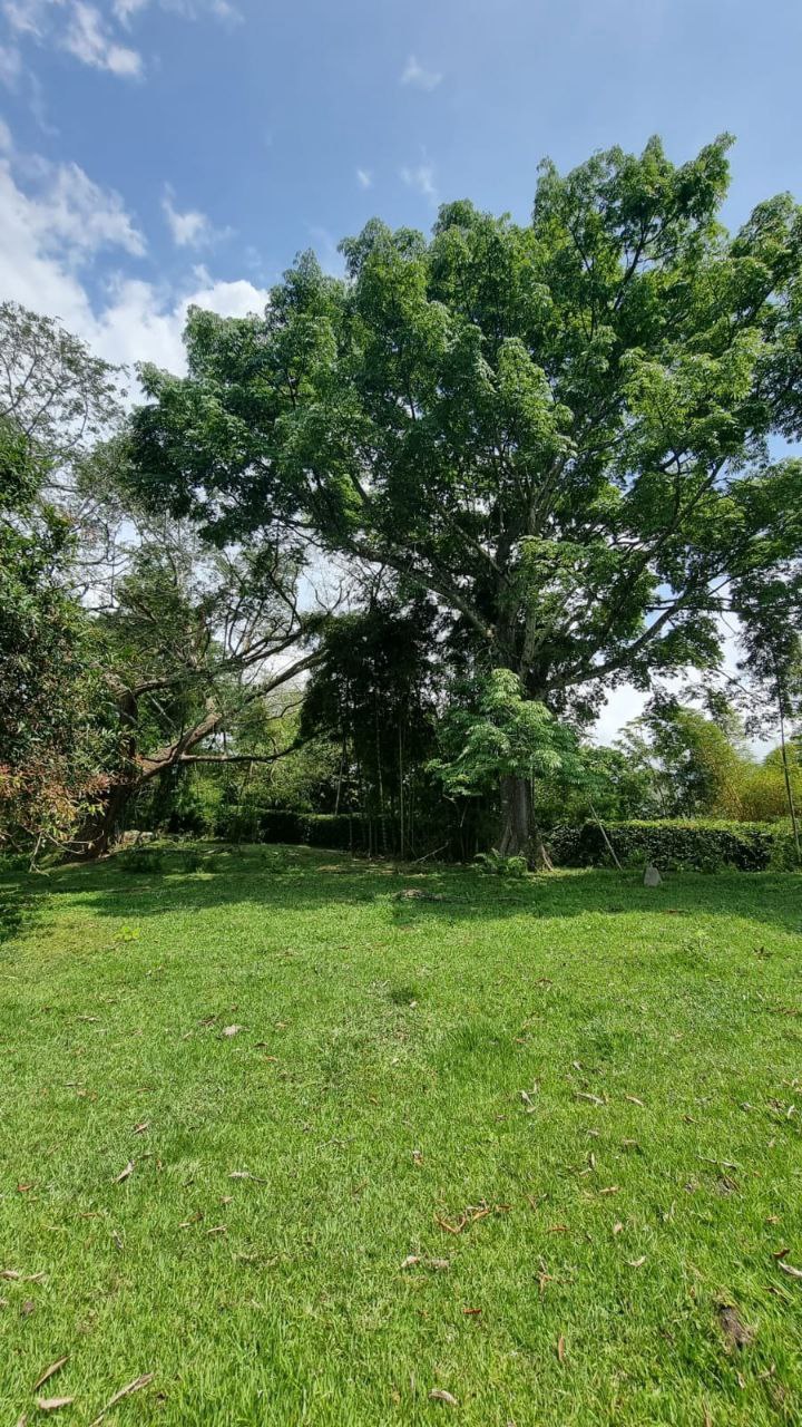 Foto 4 de Espectacular lote en san jerónimo Plano
