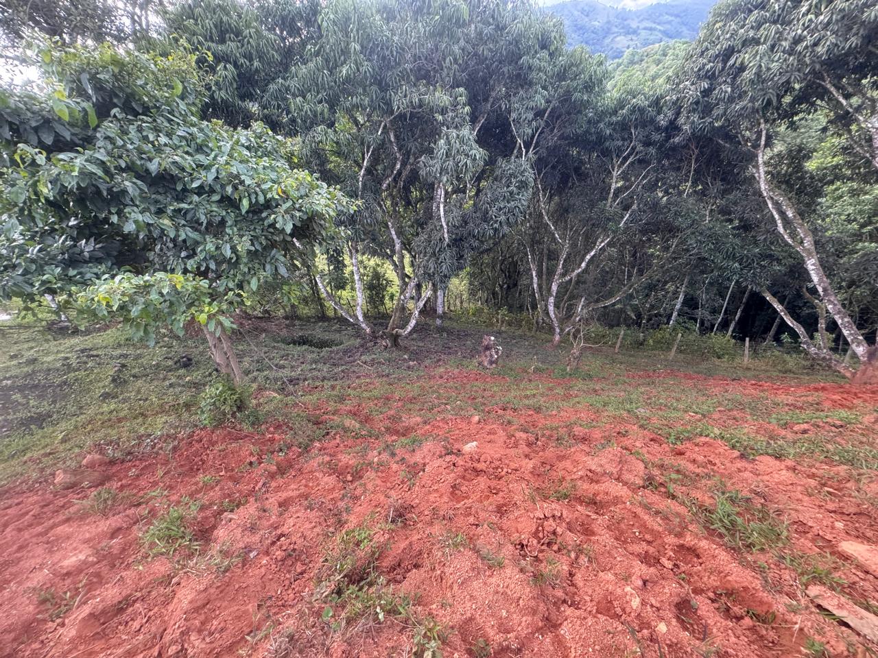 Foto 4 de lote en san jeronimo vereda quimbaya