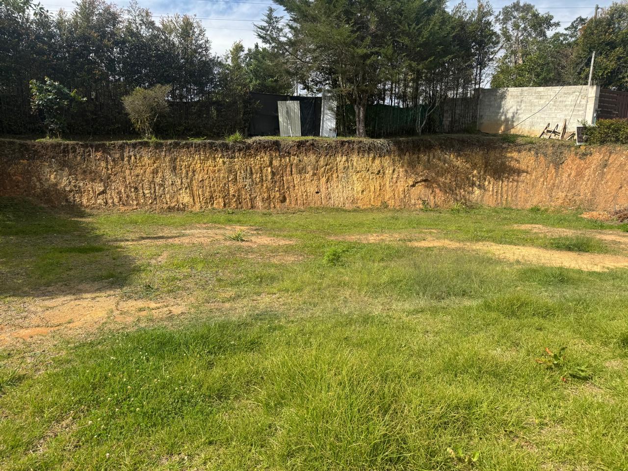 Foto 4 de Lote en rionegro vereda san luis