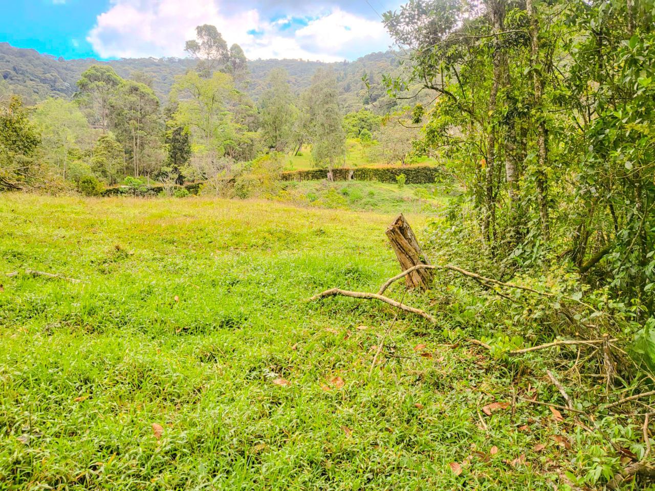 Foto 4 de lote en caldas sector primavera la tolva