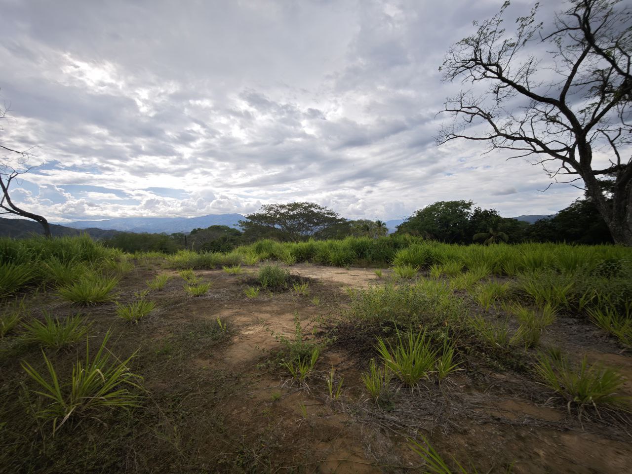 Foto 4 de Lote en Sopetran Vereda el Rodeo Con Lago