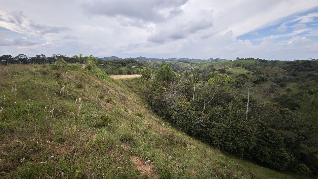 Foto 4 de Lote en Yolombo Oportunidad con Explanación