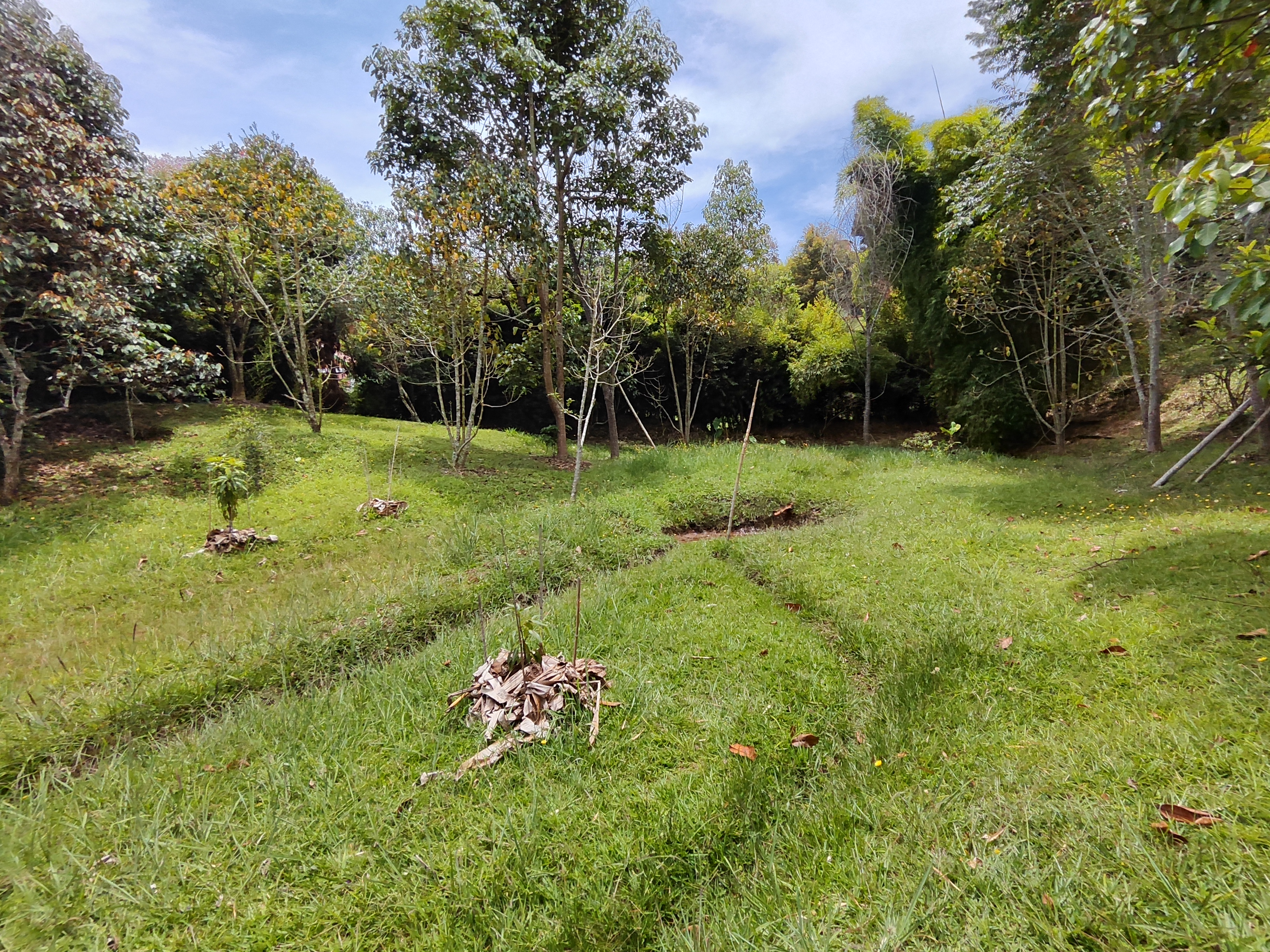 Foto 3 de Lote en Guarne Vereda la clara