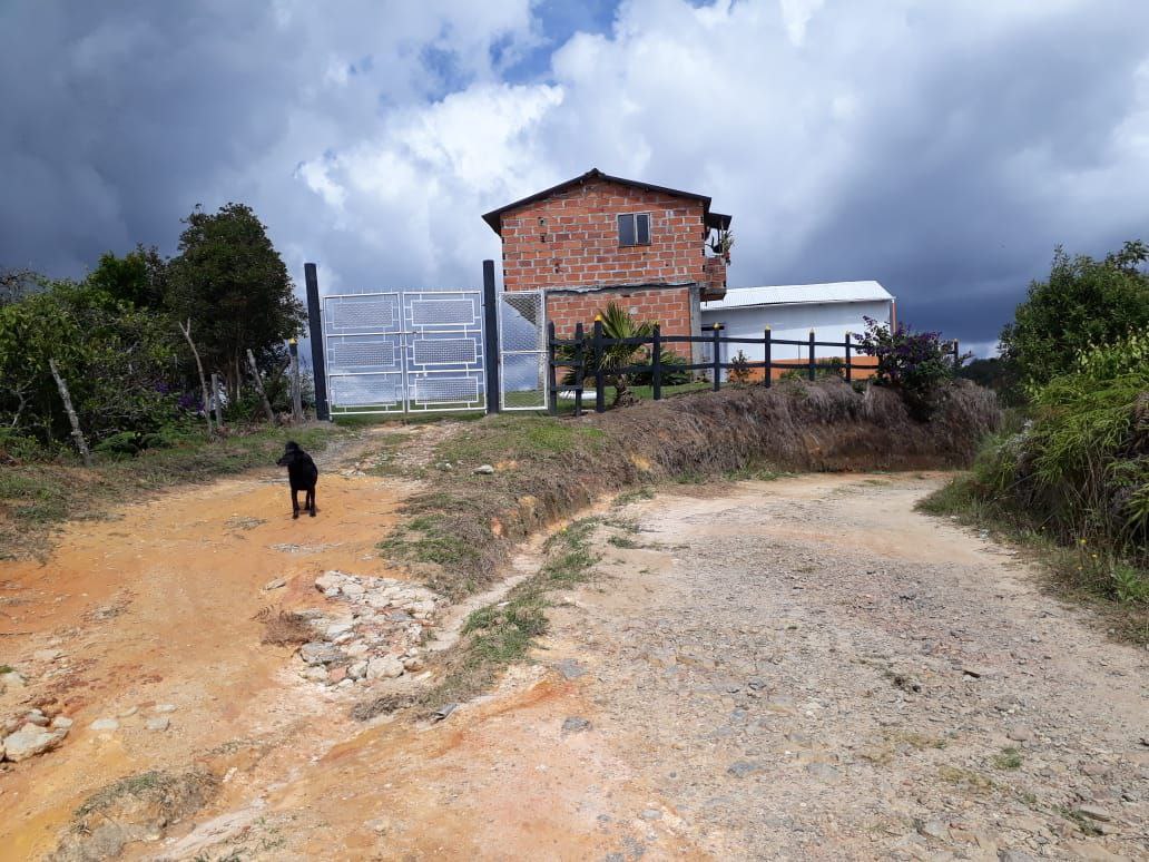 Foto 2 de Finca En San Vicente De Ferrer
