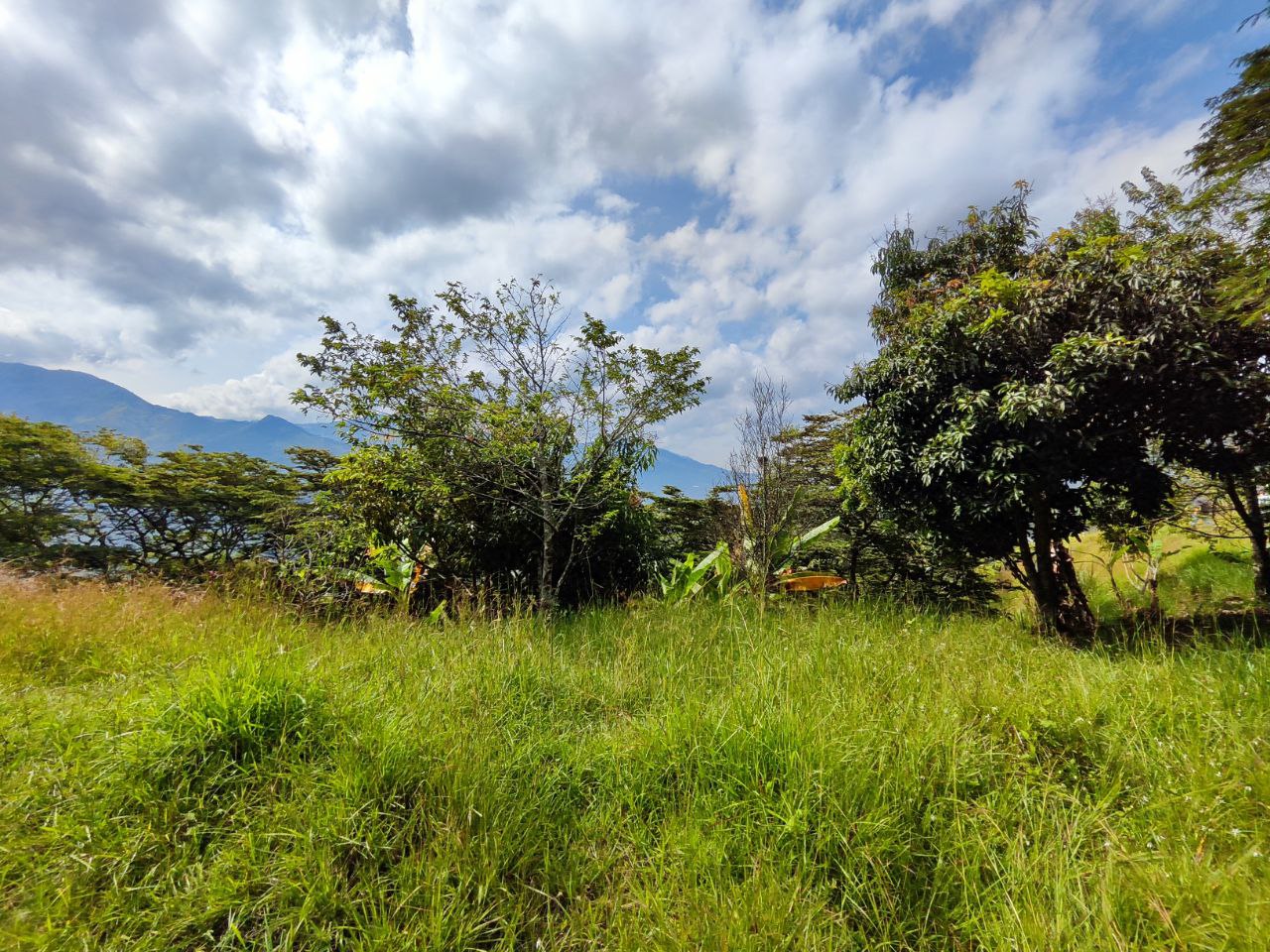 Lote en girardota parcelacion el limonar