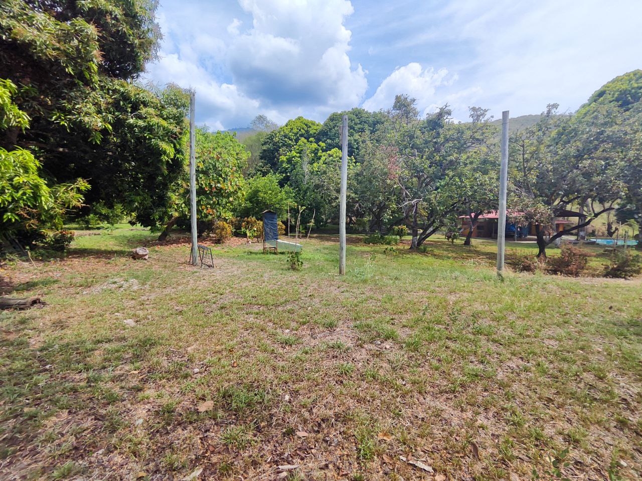 Foto 4 de Finca en sucre olaya cerca al pueblo topografía plana