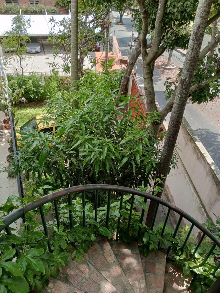 Se vende casa 620m²  10h/6b en Los Palos Grandes - Otras fotos